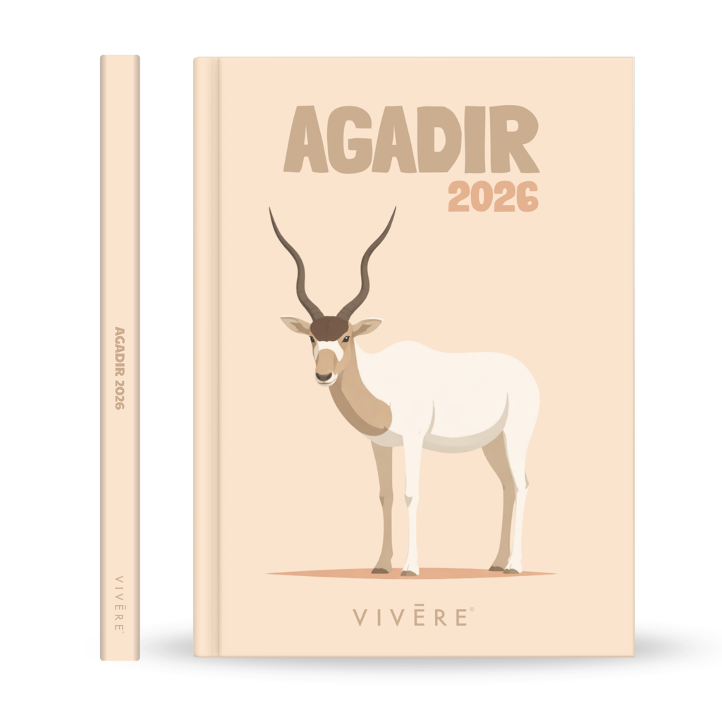 Agadir Photobook