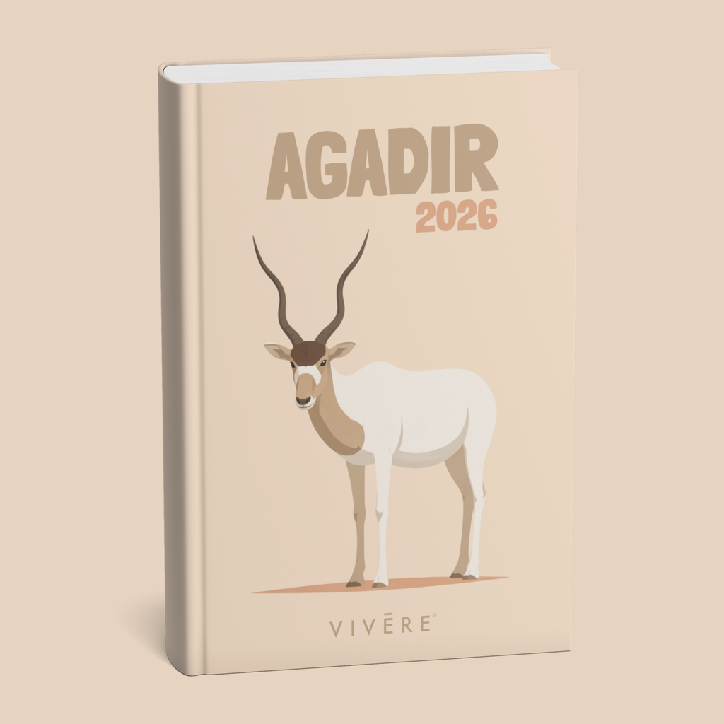 Agadir Photobook