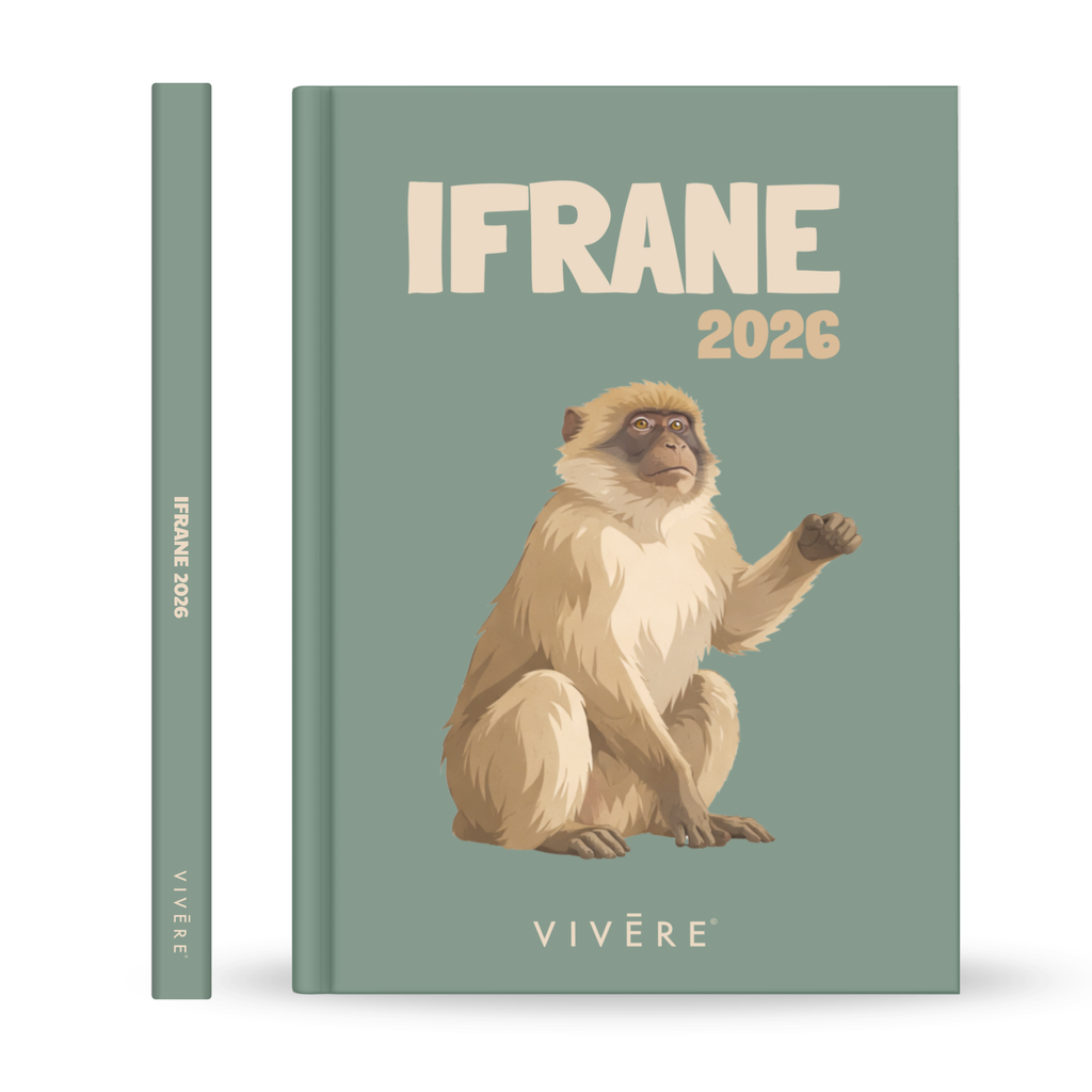 Ifrane 2026 Photobook